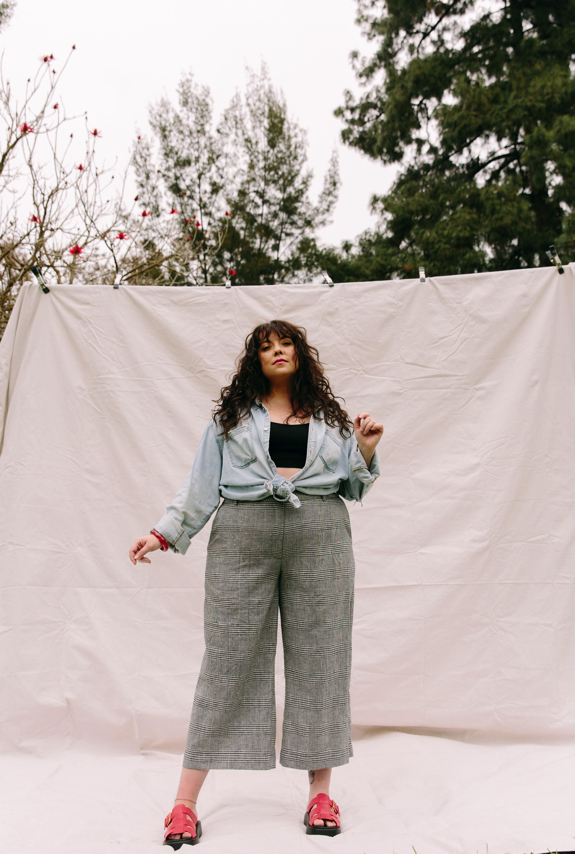 Becca Cropped Pant- Glen Plaid- BAACALxBECCA