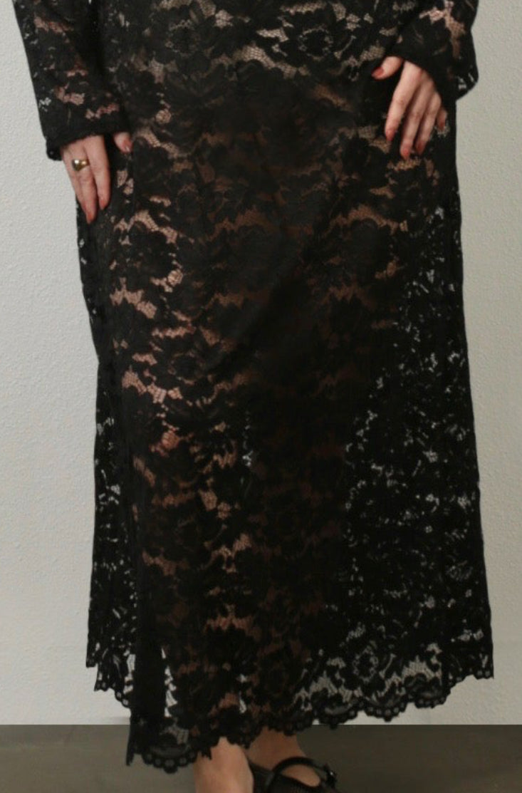 lace mesh dress all-season Cynthia Vincent BAACAL Baacal lace mesh dress all-season Cynthia Vincent BAACAL Baacal